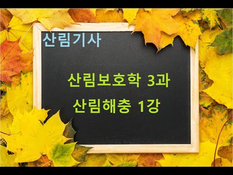 산림(산업)기사 산림보호학 3과 산림해충-1 (강의용)