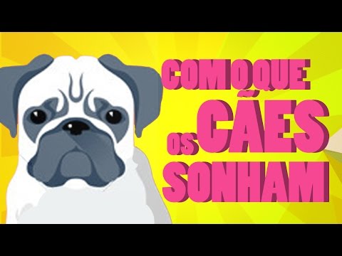 Vídeo: Os Cães Sonham?