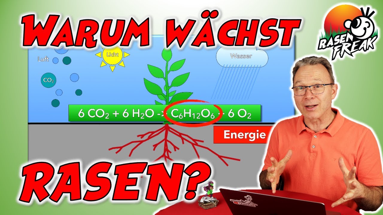 PFLANZENERNÄHRUNG Warum wächst RASEN? Wachstumsfaktoren
