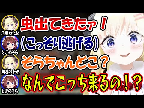 逃亡したそらちゃんの元へ苦手な虫を連れて行くギリギリ悪いわためw【ホロライブ切り抜き/角巻わため/ときのそら】