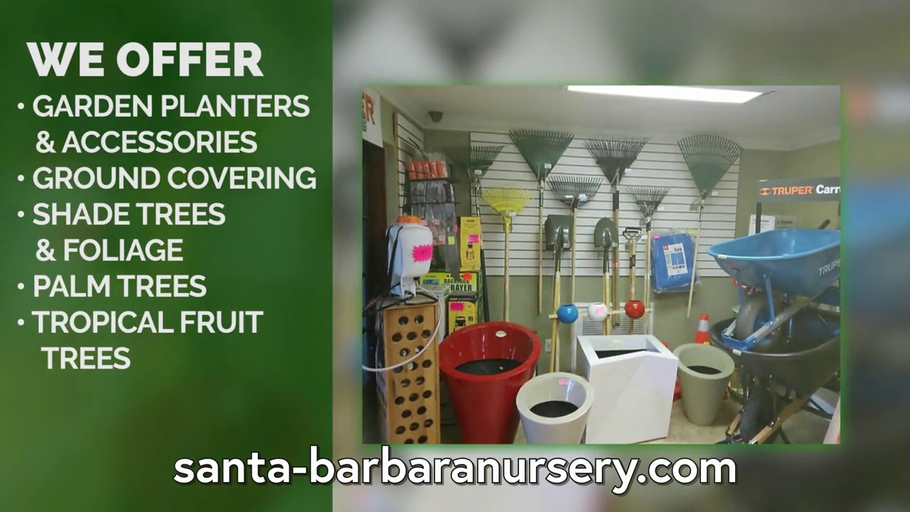Nurseries Plants Trees In Miami Fl Details At Yellowpages Nurseries Plants Trees In Miami Fl