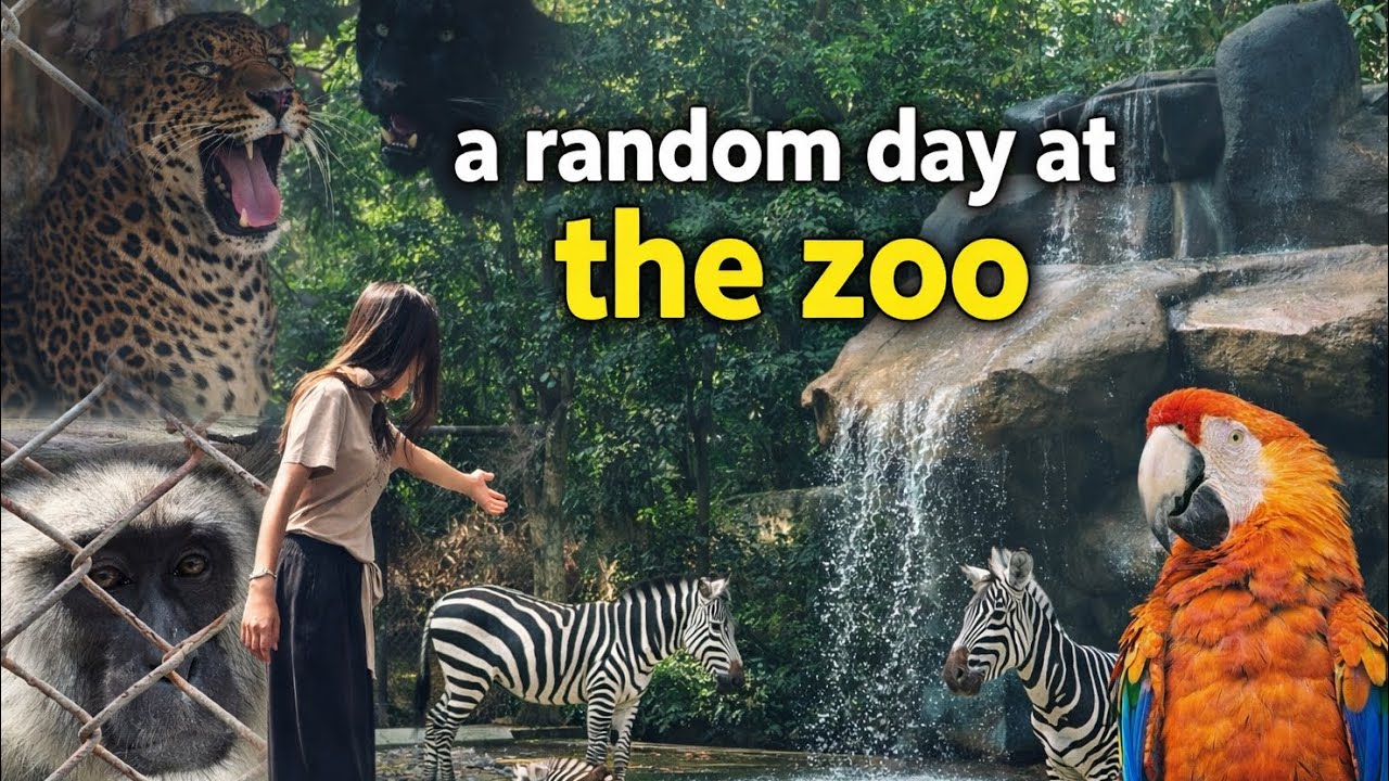 A random day at the zoo - YouTube