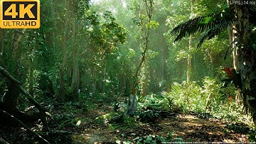UE5.2 Tropical Forest Biome Techdemo | RTX 4090 | 7800X3D