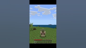 Speedrunning Random Minecraft Items (Part 3)  #gaming #challenge #shorts #minecraft  #game