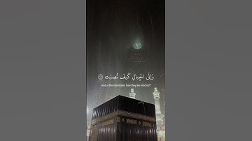﴿ أفلا يَنظرُونَ إلَى الإِبلِ كيف خُلِقت ﴾ سوره الغاشيه، عبدالرحمن مسعد #قرآن #ارح_قلبك #قران_كريم