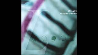 Still Life - Full Circle