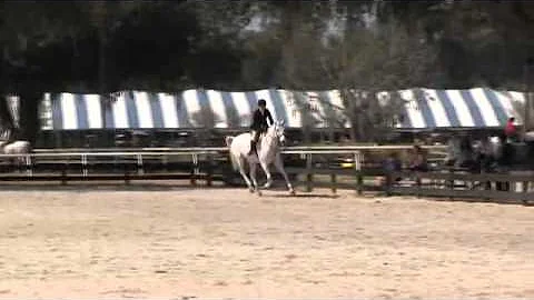 Video of Casa Loma ridden by Elizabeth Lusk from S...