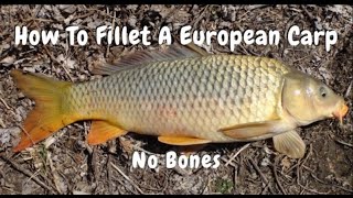 How To Fillet A European Carp With No Bones.