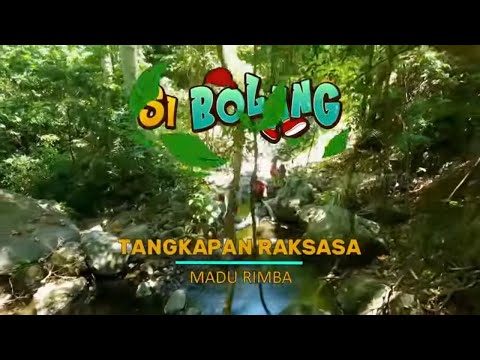 [FULL] Tangkapan Raksasa Madu Rimba | SI BOLANG (05/06/26)