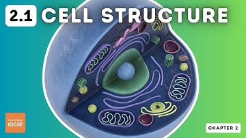 IGCSE Biology - Cell Structure and Organisation (2.1)