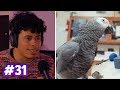 Talking Animals | Sci Guys Podcast #31