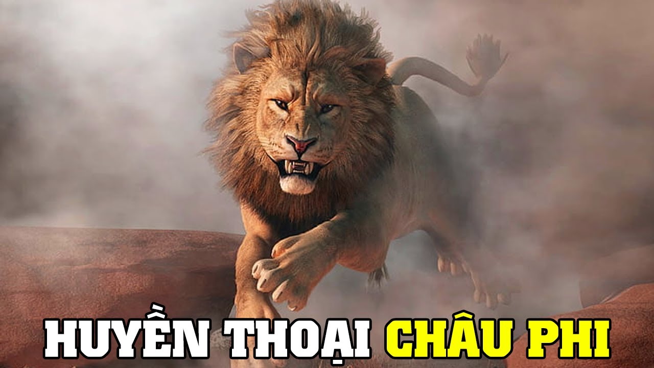 ⁣Sư Tử - Kẻ Thống Trị Vùng  Đồng Cỏ Châu Phi | Khám Phá Thế Giới Động Vật Hoang Dã