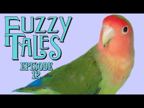 Fuzzy Tales | Ep 12 | The Teacher who Taught in a Shoe| Rub-a-dub 3 Pets in a Tu