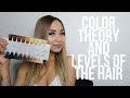 HOW TO UNDERSTAND COLOR THEORY & LEVELS OF THE HAIR.