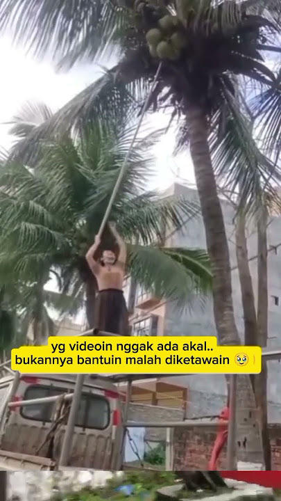detik detik seorang wanita ketimpa buah  kelapa 🥹🥹 #trending #videoviral