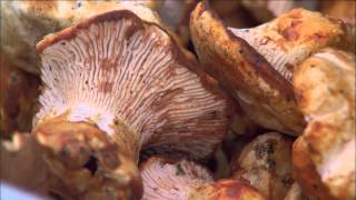 Johnathan Sundstrom – Earth & Ocean – Seattle, Washington