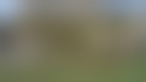 UNC VIDEOS Nephroscopic assissted laparoscopic pyelolithotomy for stone in pelvic kidney