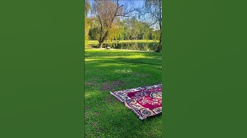 القرآن الكريم||أن الله وملائكته يصلون على النبي||تلاوة من سورة الأحزاب||هزاع البلوشي||القرآن 🌸||