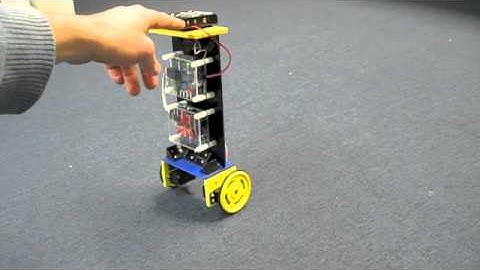 Servo Motor Balancing Robot