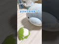 この動画で悲しくなる人、究極に疲れてるので休んでください。