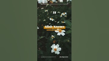 جمعة مباركة علينا وعليكم بالخير واليمن والبركات #سورة_الكهف #quran #قرآن #المنشاوي #الكهف