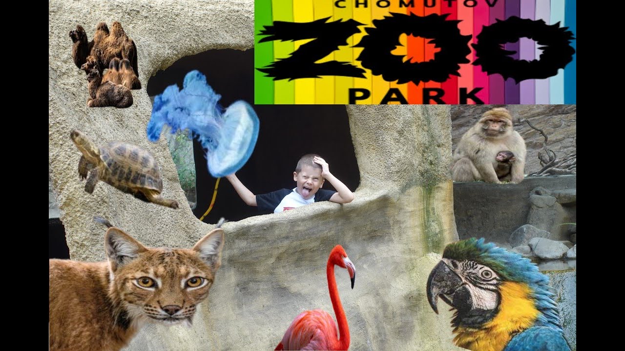 Zoopark CHomutov 2023 🐪🐵🐒