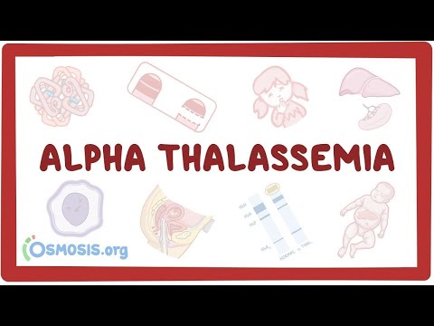 Alpha-thalassemia - an Osmosis Preview