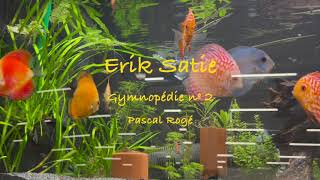 Erik Satie - Gymnopédie nº 2 - Pascal Rogé