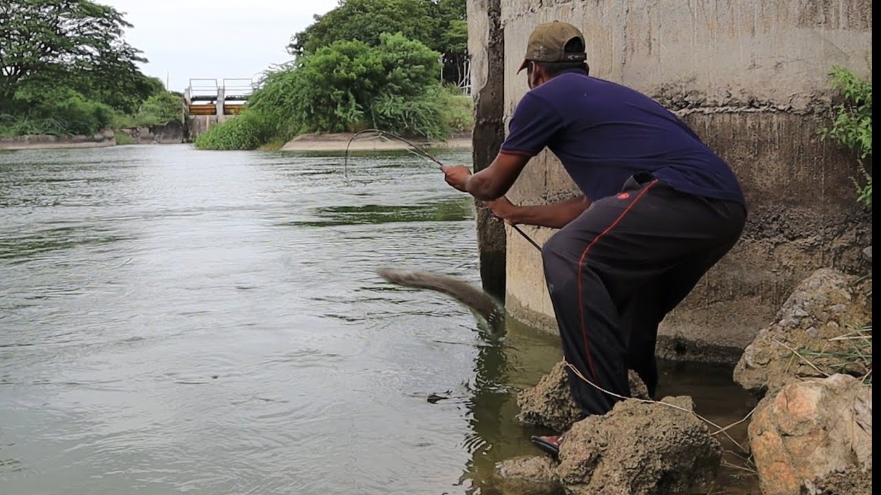 Catching hidden and trapped fishes from behind a well |unique catching