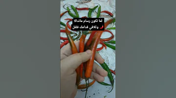 لما تكون رسام ماندالا وتلاقي قدامك فلفل Art Artist رسام ماندالا 