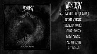 Agnosy - Past the Point of No Return LP FULL ALBUM (2011 - Crust Punk / D-Beat)
