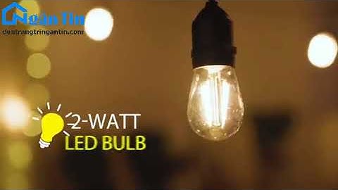 Bộ dây đuôi đèn 5met-20 đuôi chống nước mắc nối tiếp ngoài trời E27 220V Ngân Tin (kèm 10 bóng led)