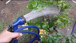 اشتريت خرطوم مدهش لري النباتات بجد ممتاز Amazing hose for irrigation plants