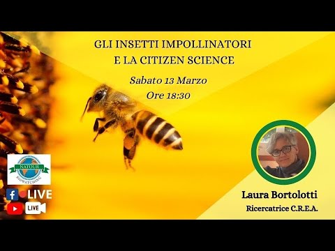 Gli insetti impollinatori e la Citizen science