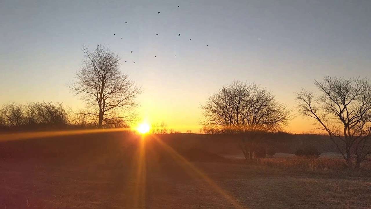 sunrise century 2020