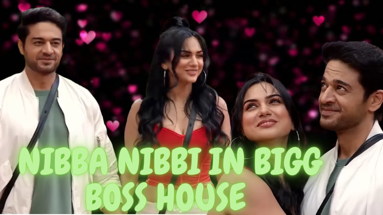 gaurav khanna AND HIS WIFE LOOK LIKE A  NIBBA NIBBI IN THE BIGG BOSS HOUSE