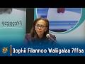 Qophii Filannoo Waliigalaa 7ffaa