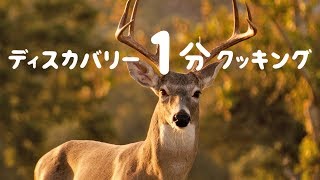 ディスカバリー１分クッキング | 最高級のシカ肉 | (ディスカバリーチャンネル)
