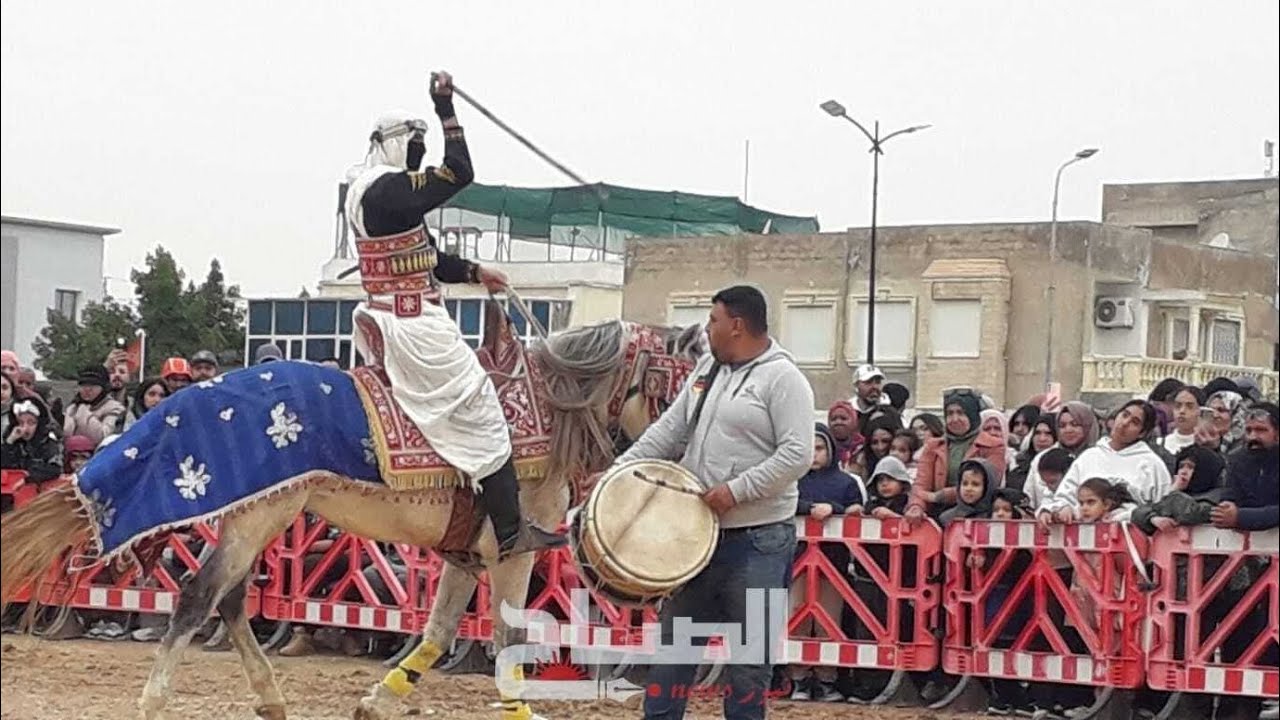 الفروسية التقليدية لمة الفرسان بمهرجان الدندان منوبة 