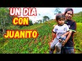 Hoy lo enseñé a sembrar PAPACHINA a mi hijo Juanito - JuaneS