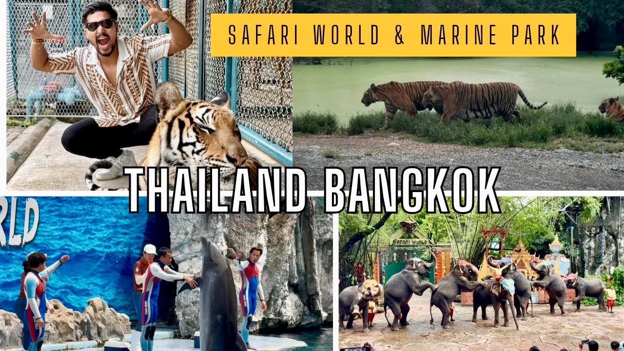The most Famous and Adventurous park in Bangkok-Safari World & Marine Park Tour-Thailand Bangkok 