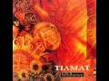 Tiamat - 02 - Whatever That Hurts