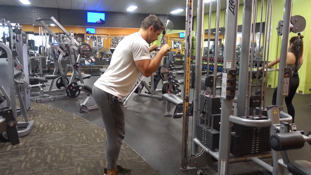 Cable Straight Bar Triceps Pushdown YouTube