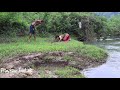 Primitive Food: Catch fish puddles in the dry season - Cooking fish eating delicious