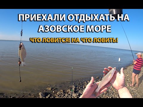 Что можно поймать на Азовском море во время отдыха! Рыбалка на море! Что для этого нужно!