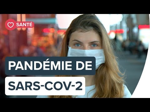 Pandémie de SARS-COV-2: faut-il s’inquiéter ? | Futura Pandémie de SARS-COV-2: faut-il s’inquiéter ? | Futura