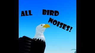 Feather Family | All bird noises! (January 2022)