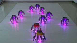 RoboBuilder 2009X mas Special Performance