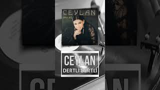 Ceylan - Dertli Dertli #shorts Resimi