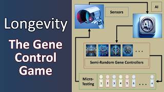 Longevity: Gene Control Part 10 — Playing for the Win